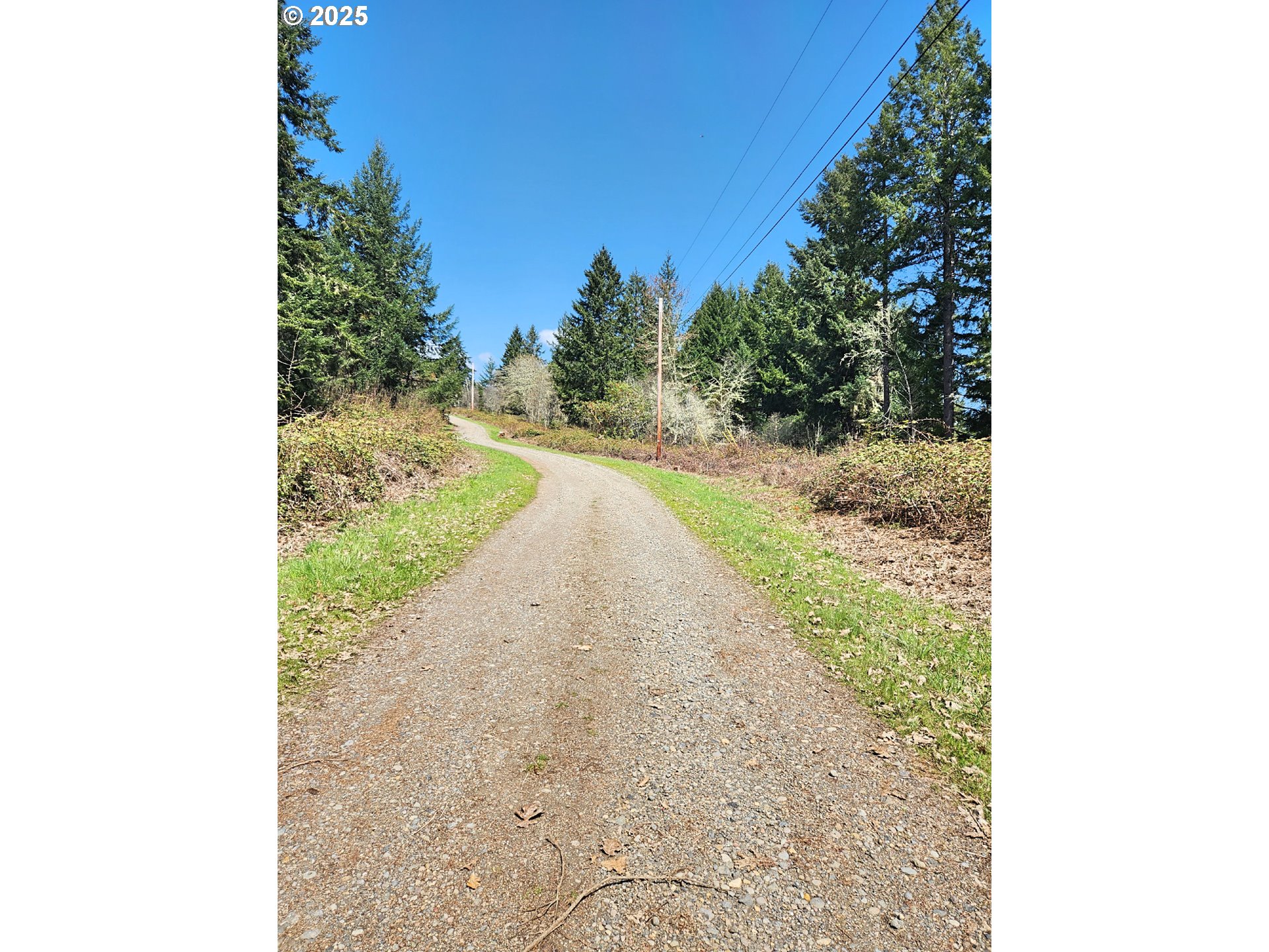 Bolton Hill Road North Veneta, OR 97487 - Photo 13 of 13