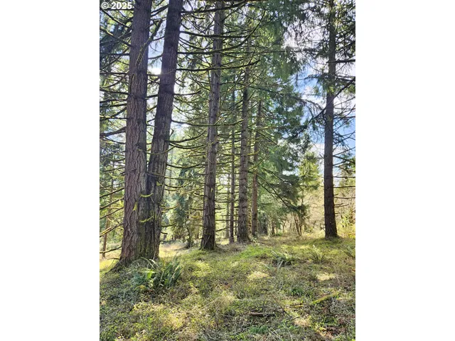 $2,240,000 | Bolton Hill Road North, Veneta, OR 97487