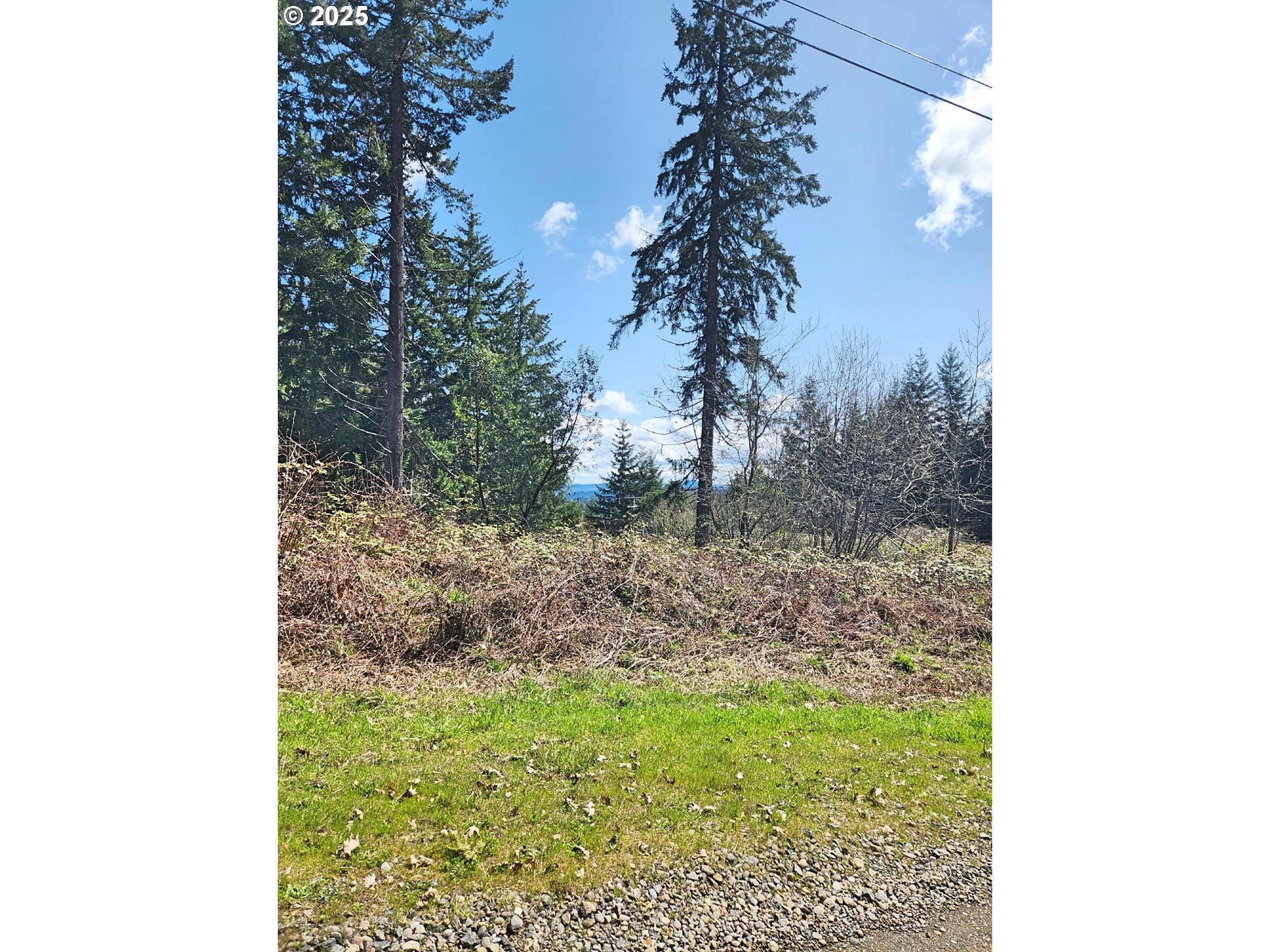 Bolton Hill Road North Veneta, OR 97487 - Photo 9 of 13