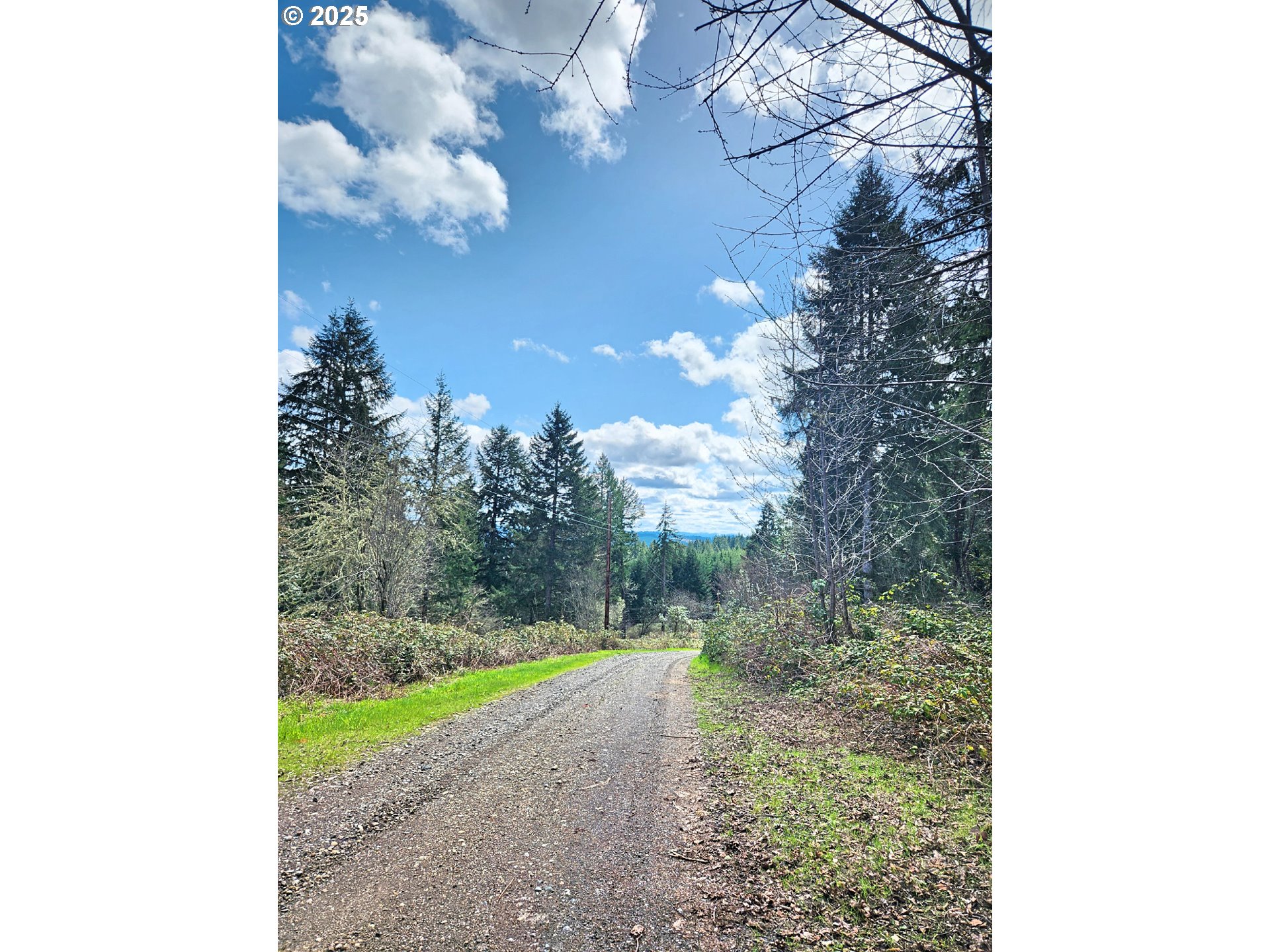 Bolton Hill Road North Veneta, OR 97487 - Photo 10 of 13