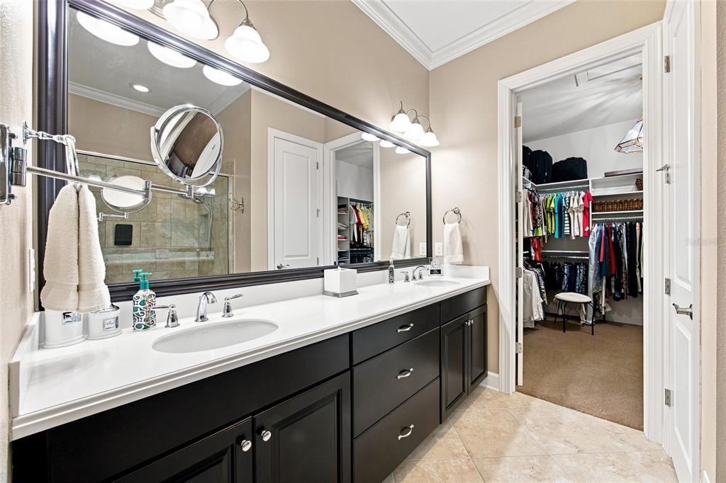 8557 Grand Alberato Road Tampa, FL 33647 - Photo 10 of 55 Gallery Image 10