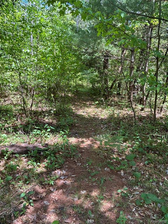 955 Aeronca Road Luzerne, MI 48636 - Photo 17 of 20