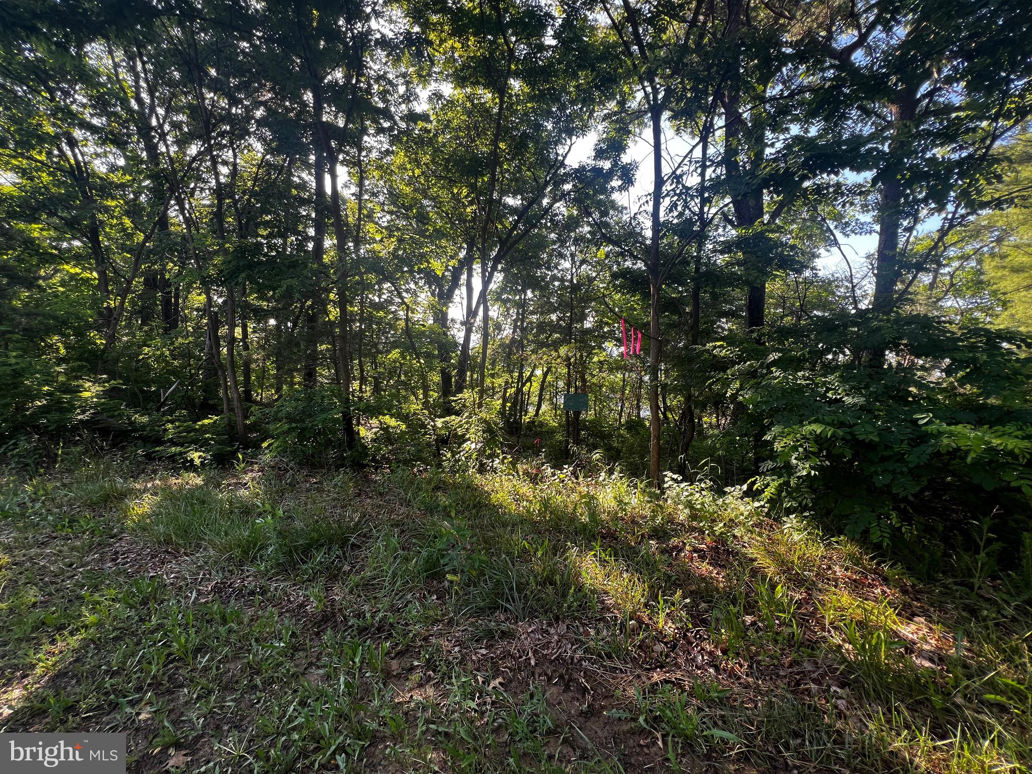 Lot 52 Grace Mountain Mathias, WV 26812 - Photo 21 of 34