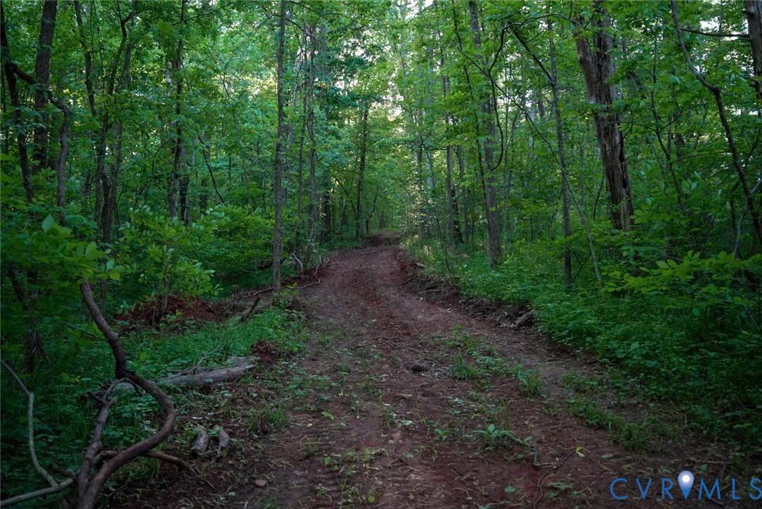 176 Ampthill Road Cartersville, VA 23027 - Photo 21 of 25 a view of a forest with trees in the background