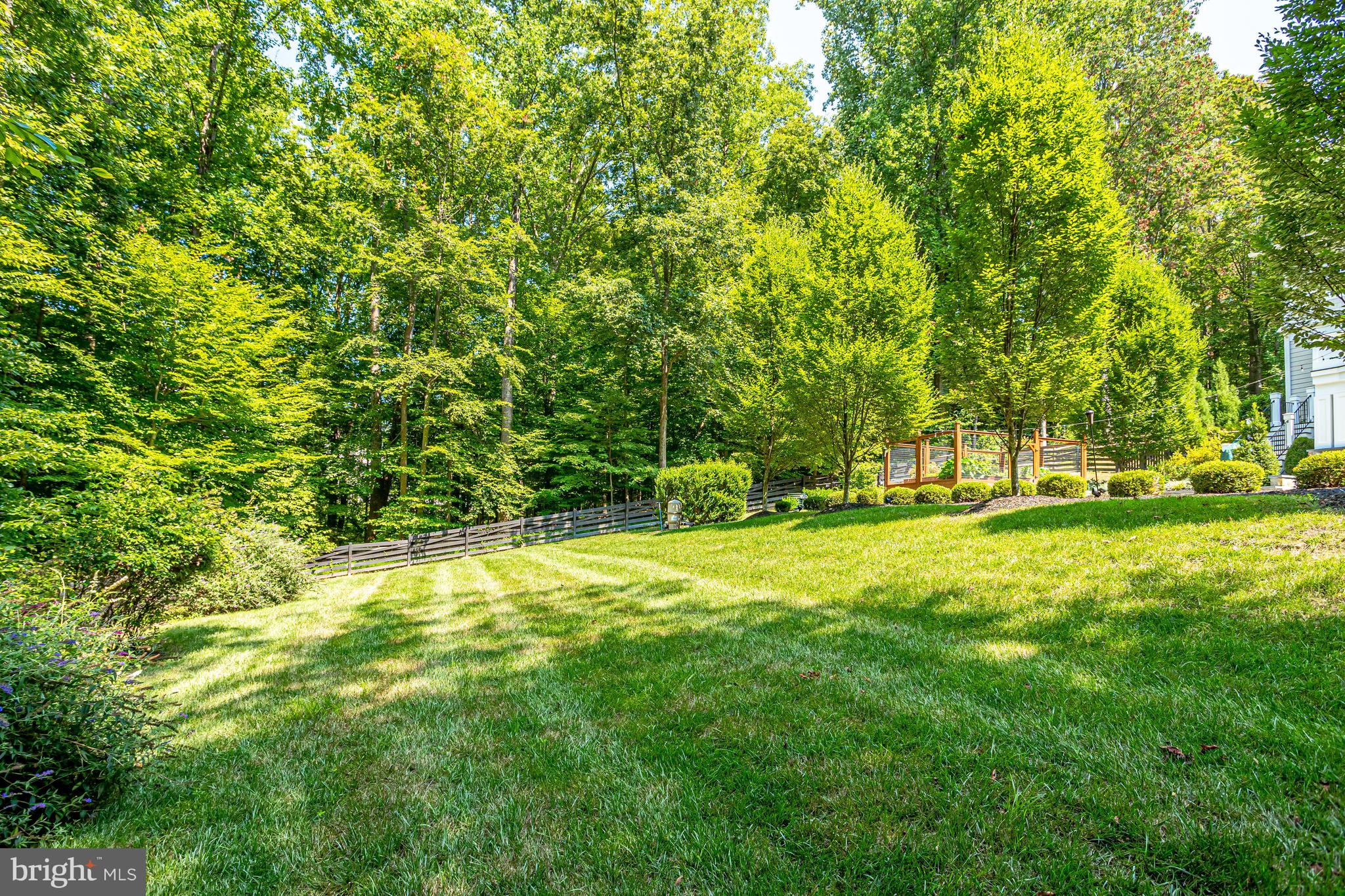 248 Springvale Road Great Falls, VA 22066 - Photo 19 of 23