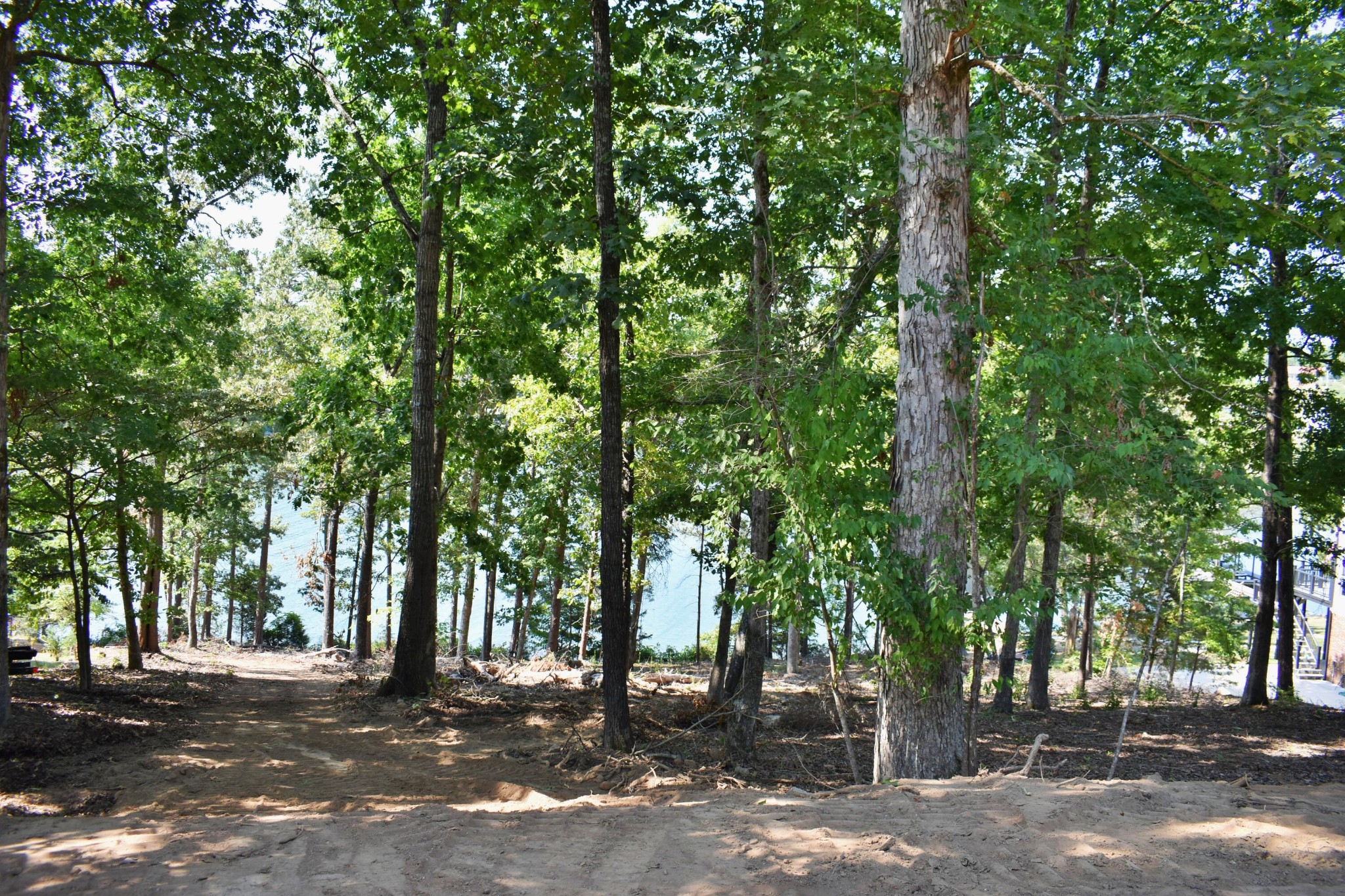 320 Key Cove Road Spring City, TN 37381 - Photo 6 of 35