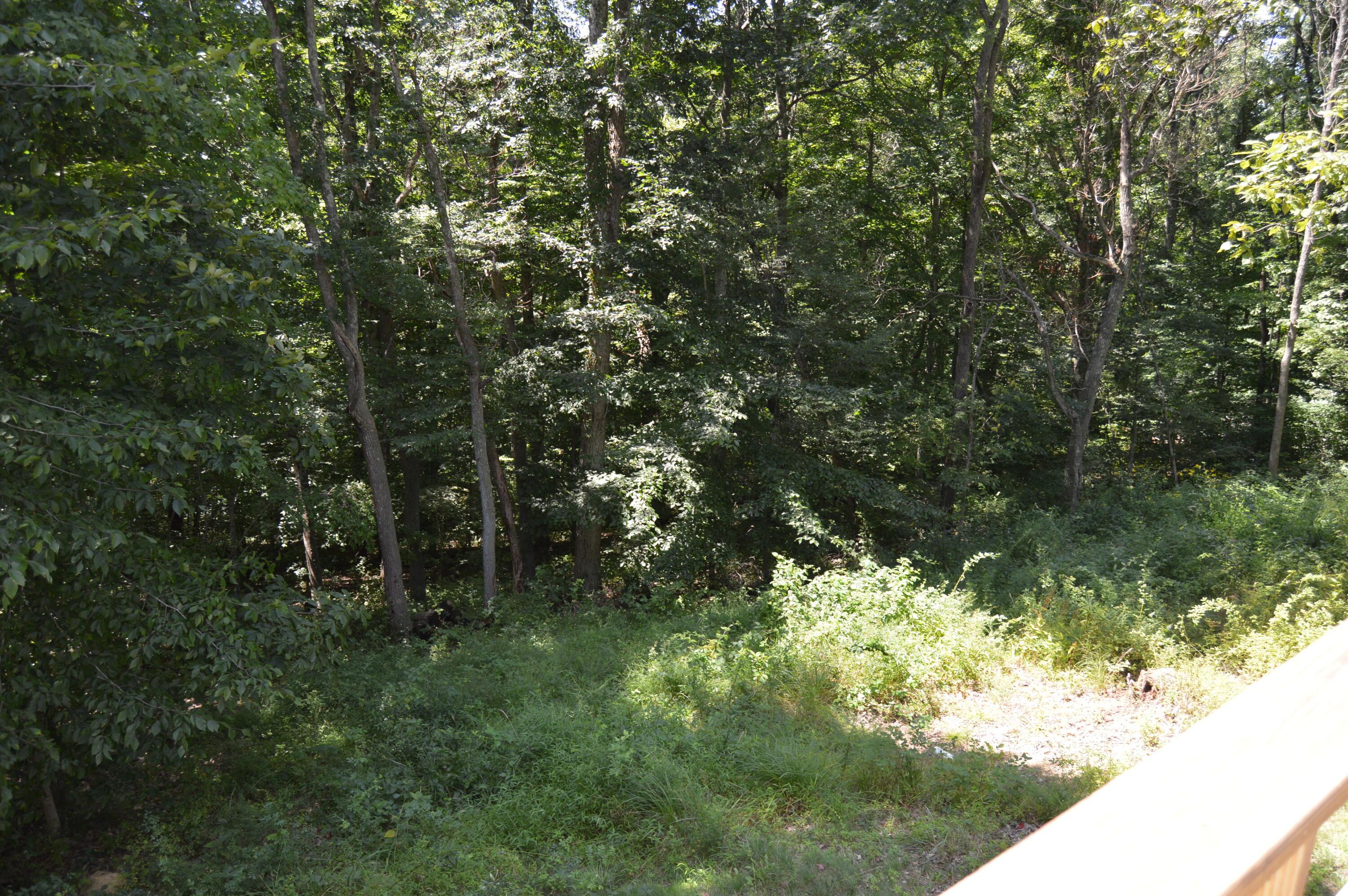 5221 Sheets Road Logan, OH 43138 - Photo 43 of 47 Private Wooded Back Yard