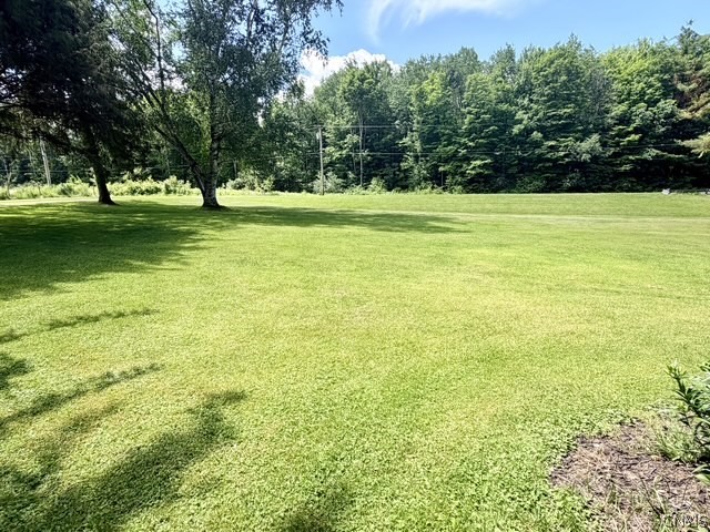 4241 Long Hill Road Moravia, NY 13118 - Photo 17 of 24