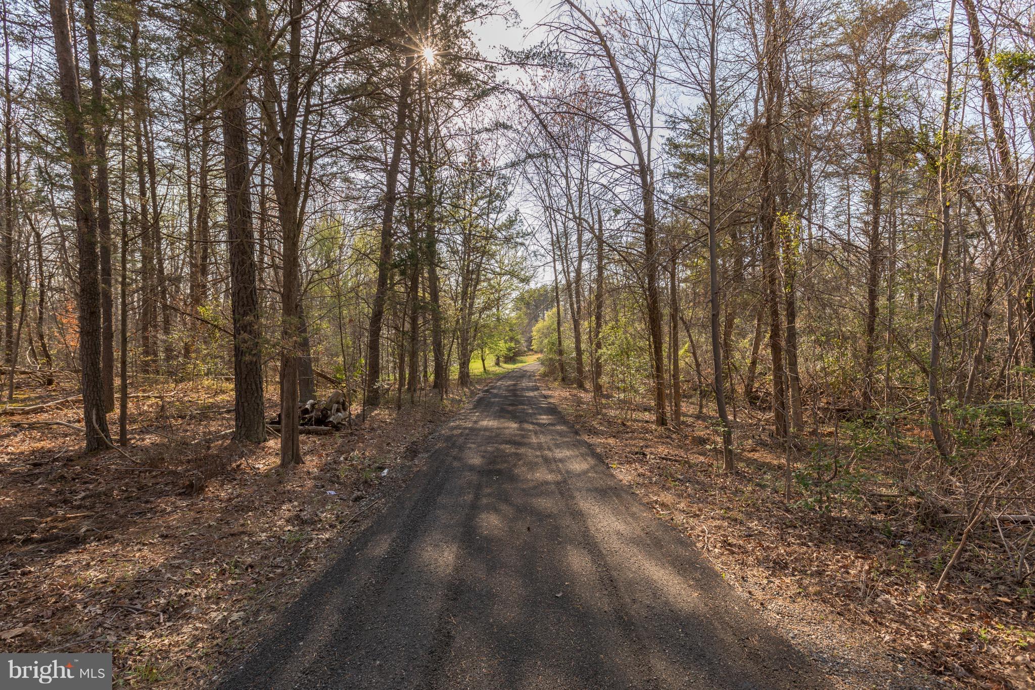 16501 Baden Naylor Road Brandywine, MD 20613 - Photo 30 of 30 New millings