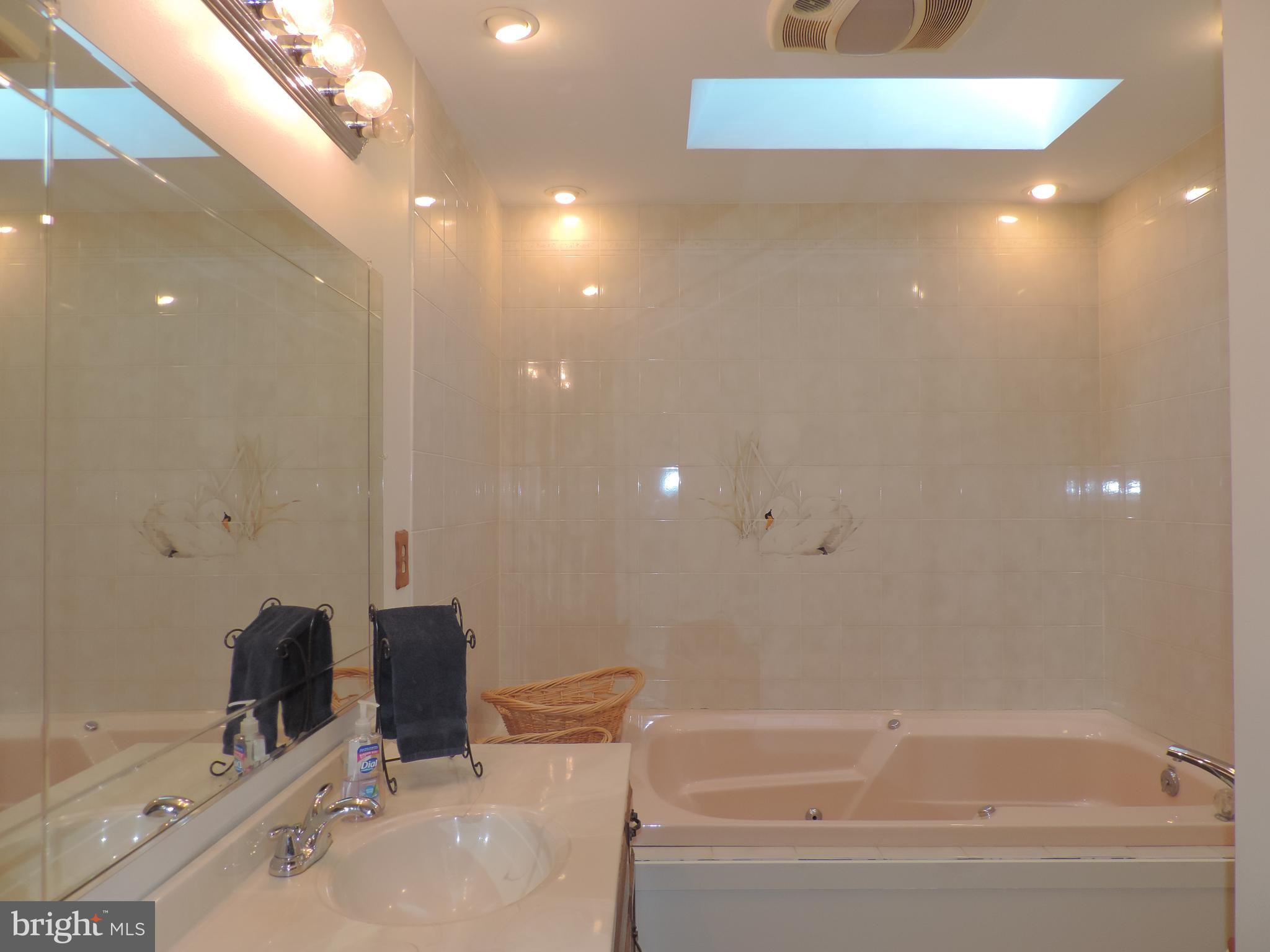 1183 Ridge Road Rising Sun, MD 21911 - Photo 15 of 26 Hall Bath with Soaking Tub, Shower & Skylight