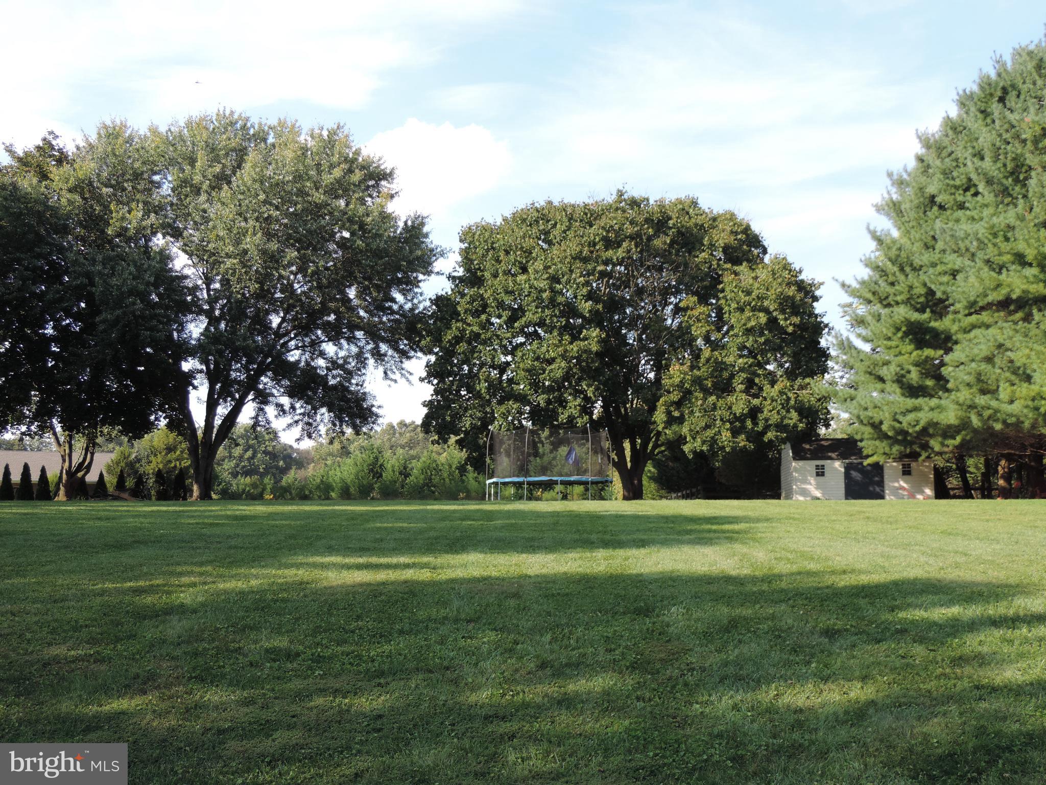 1183 Ridge Road Rising Sun, MD 21911 - Photo 21 of 26 Trees & Landscaping