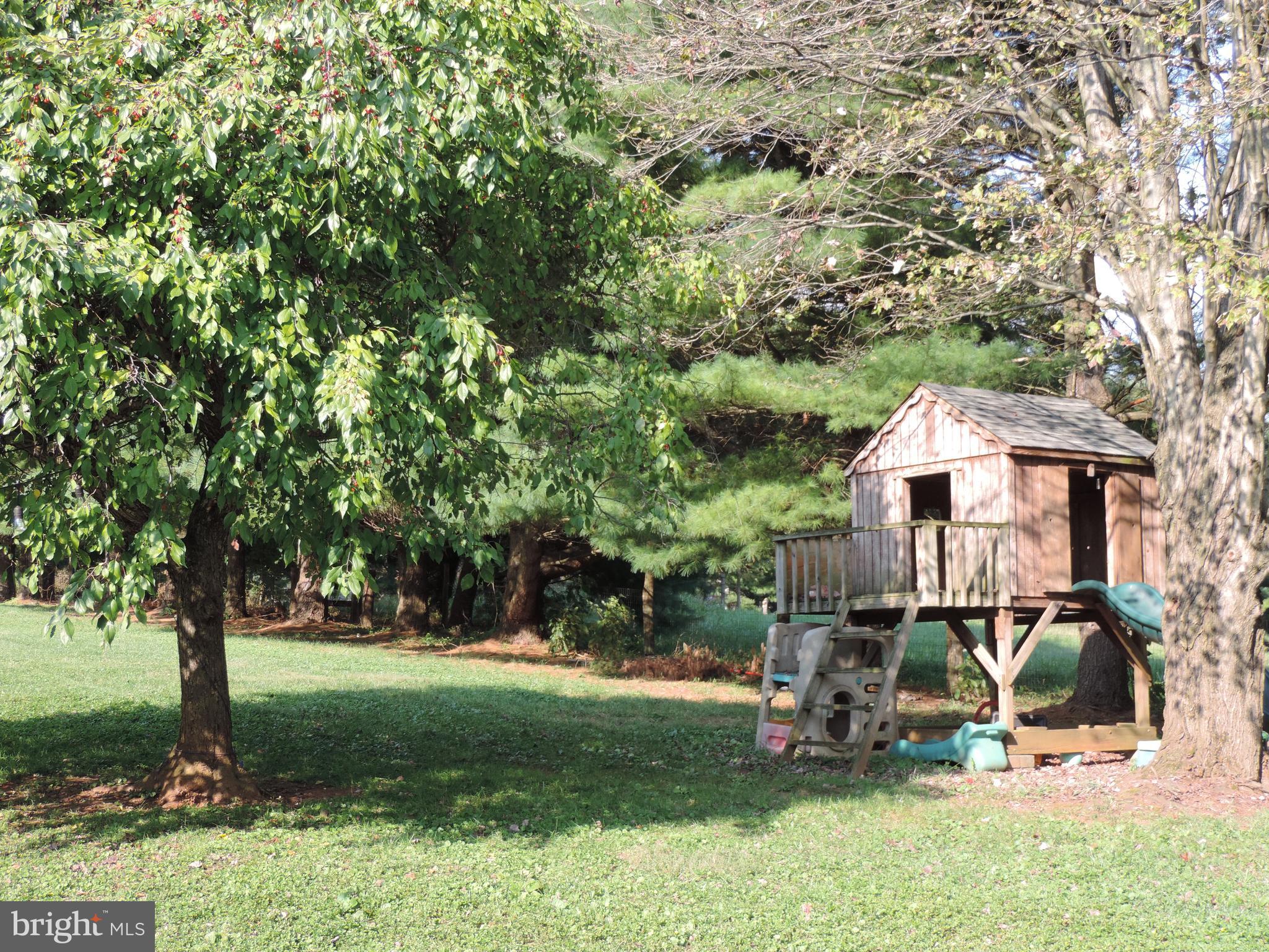 1183 Ridge Road Rising Sun, MD 21911 - Photo 24 of 26 Backyard Play Set