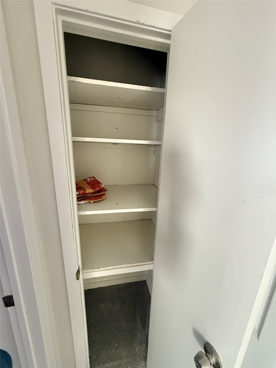 9497 FM 1456 Road Bellville, TX 77418 - Photo 39 of 50 Hall Closet