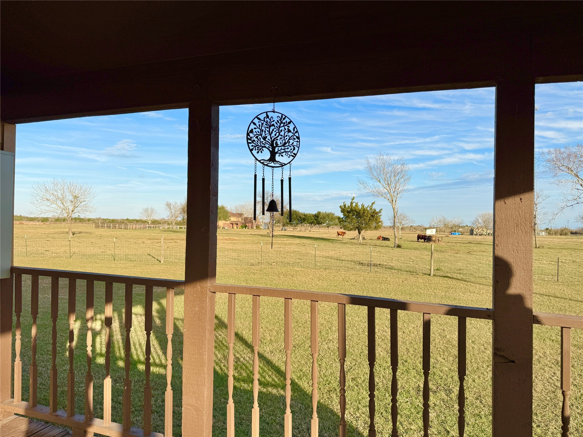 9497 FM 1456 Road Bellville, TX 77418 - Photo 40 of 50 Peaceful setting.