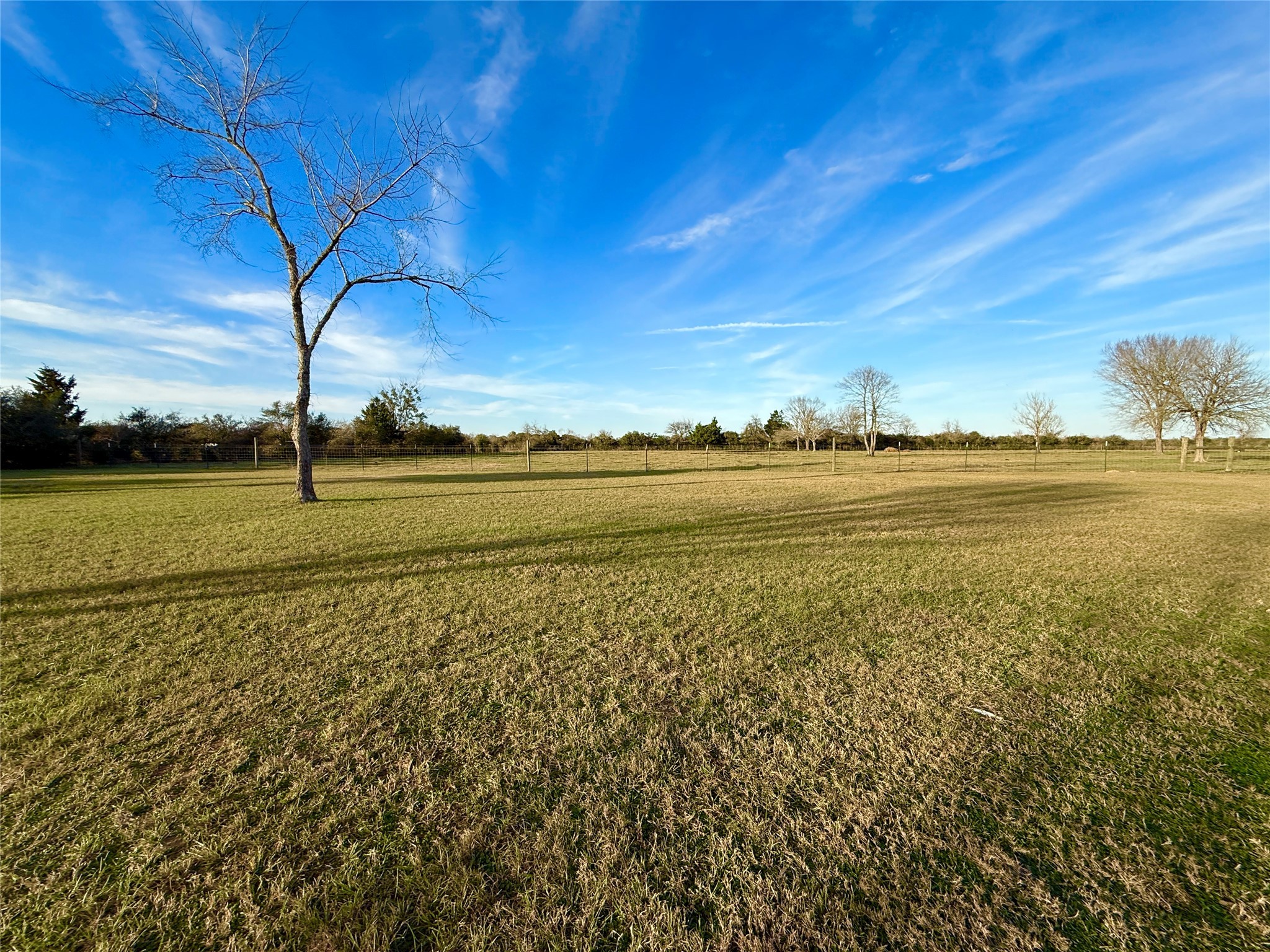9497 FM 1456 Road Bellville, TX 77418 - Photo 41 of 50 Serene beauty.