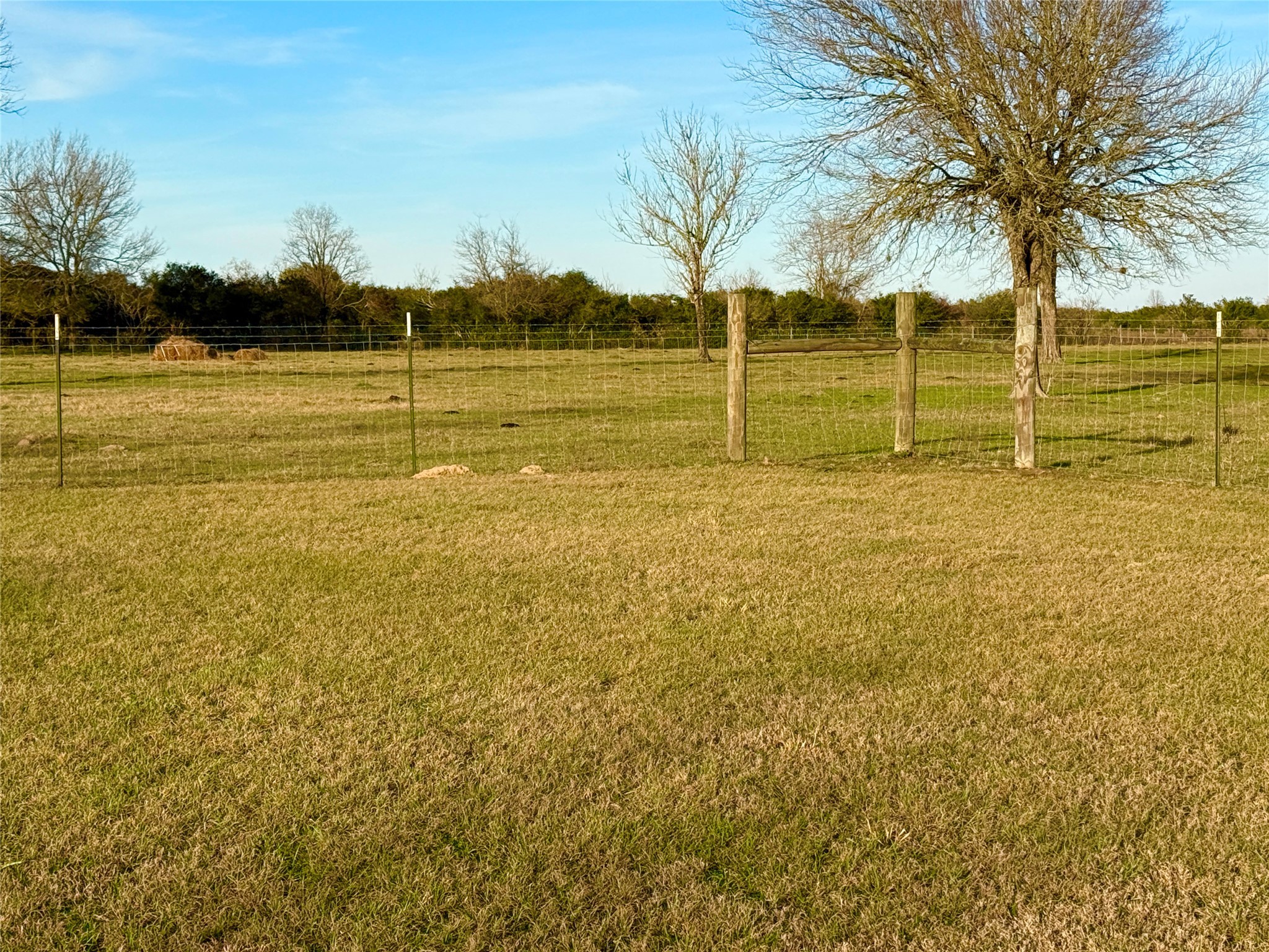 9497 FM 1456 Road Bellville, TX 77418 - Photo 43 of 50 Nice fence.