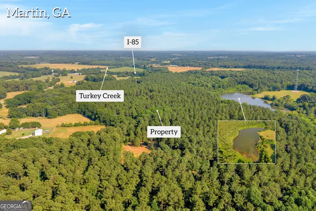 a view of a city with an ocean view