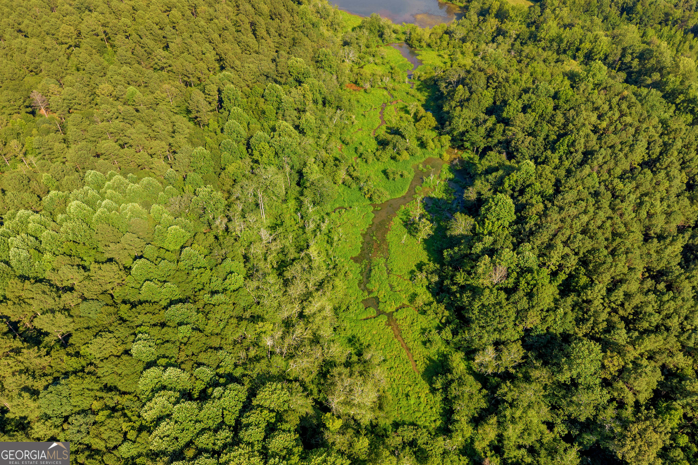 0 Baty Road Toccoa, GA 30577 - Photo 25 of 41 a view of a big yard with a tree