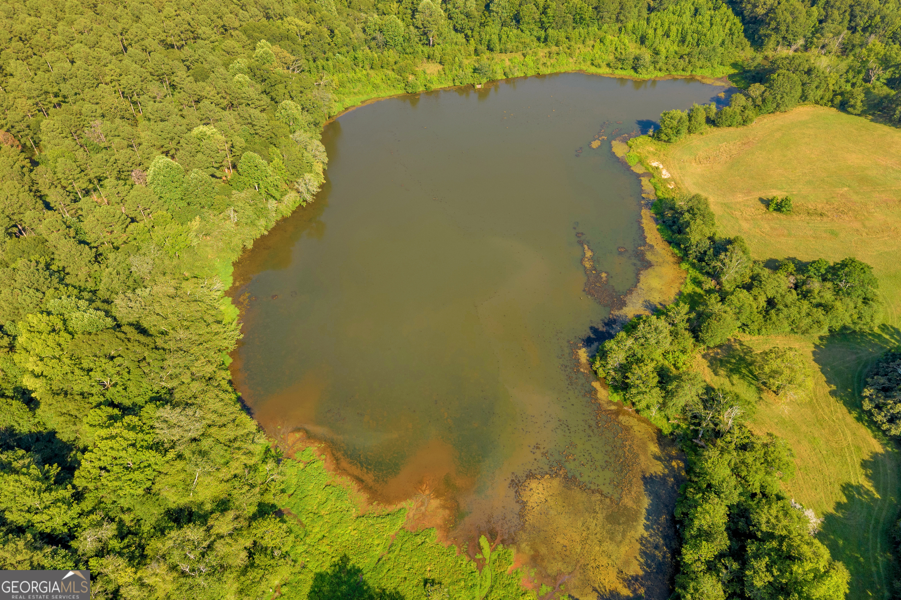 0 Baty Road Toccoa, GA 30577 - Photo 26 of 41 a view of a garden