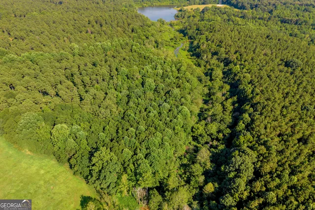 a view of a lush green field