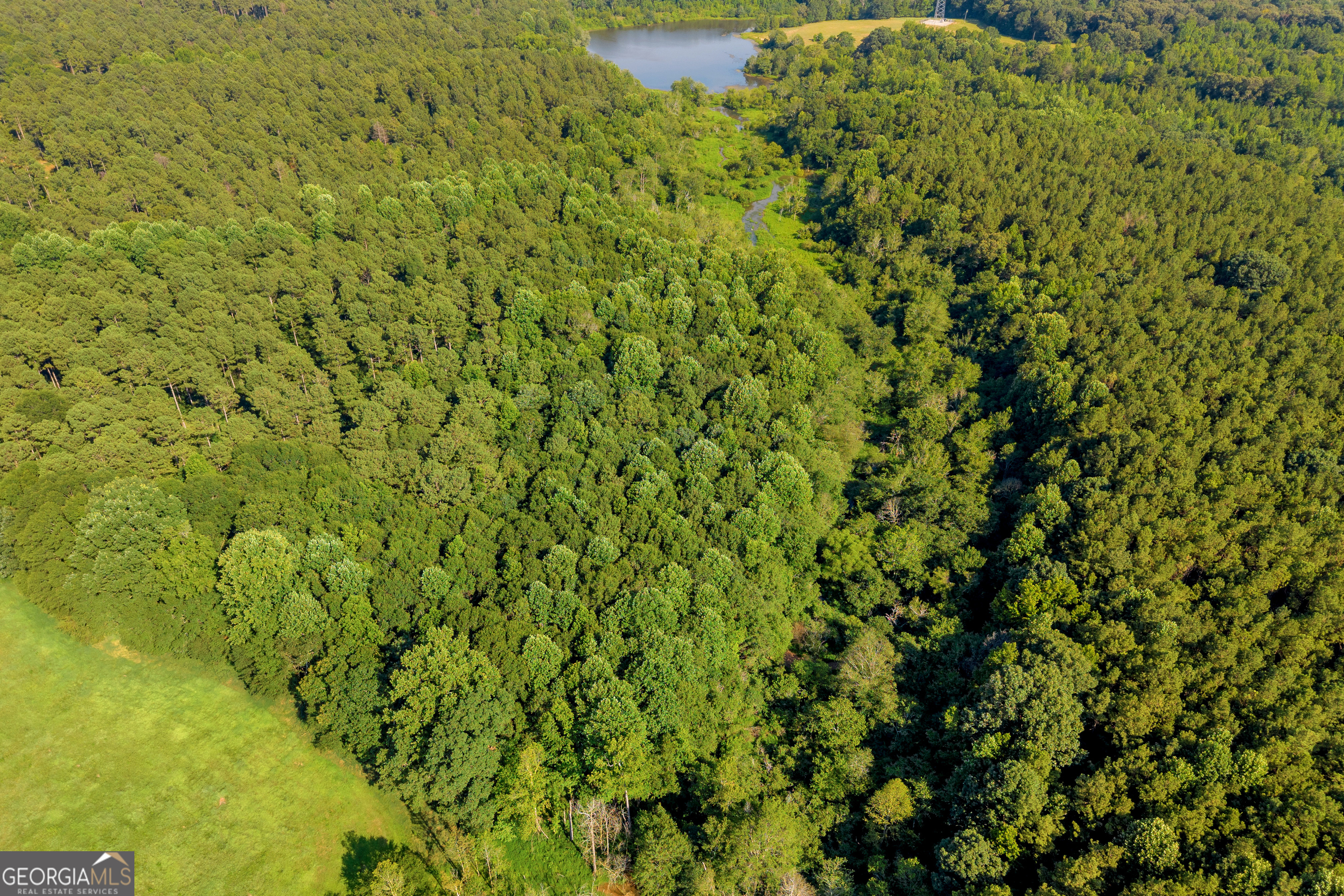 0 Baty Road Toccoa, GA 30577 - Photo 3 of 41 a view of a lush green field