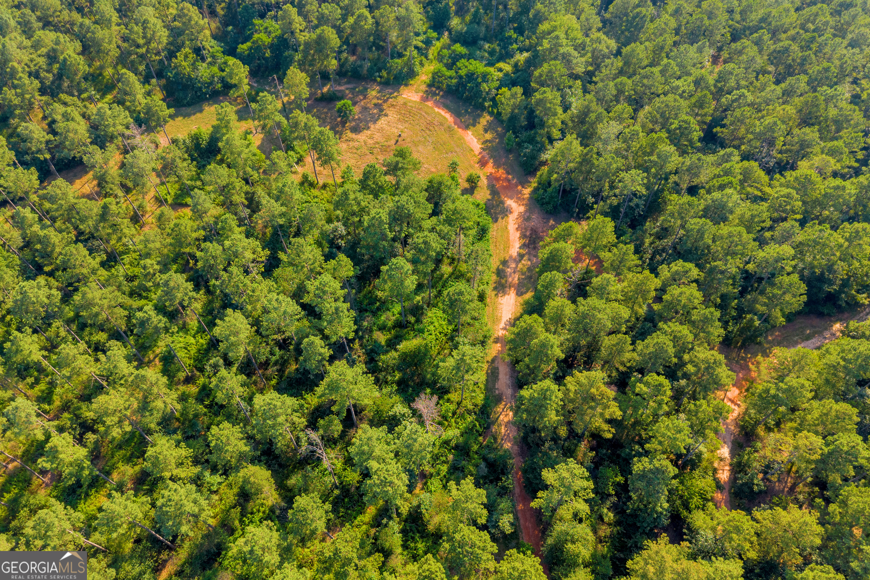 0 Baty Road Toccoa, GA 30577 - Photo 34 of 41 a view of a lush green forest with a tree