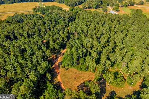 a view of a yard with a tree