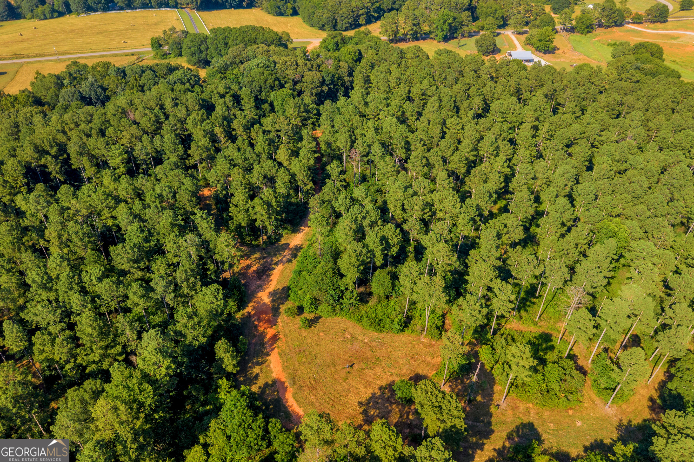 0 Baty Road Toccoa, GA 30577 - Photo 35 of 41 a view of a bunch of trees and bushes
