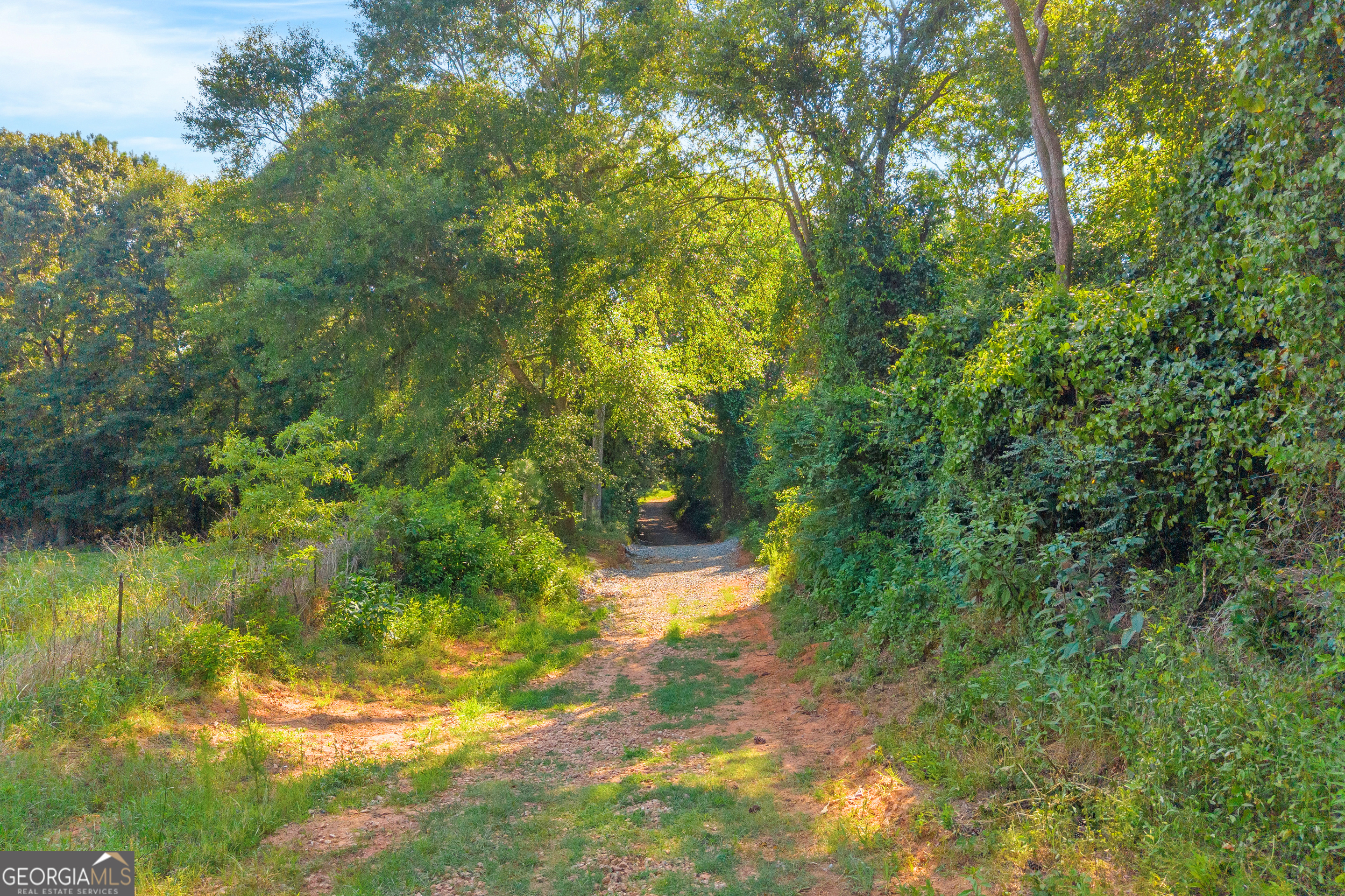 0 Baty Road Toccoa, GA 30577 - Photo 37 of 41 a view of a yard with plants and large trees