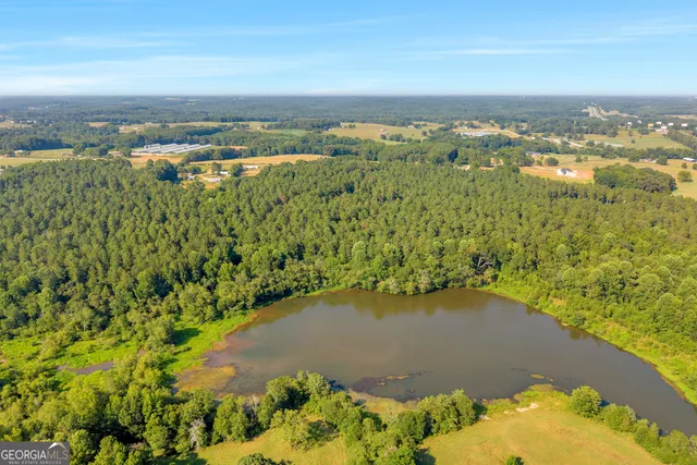 a view of a lake with a city