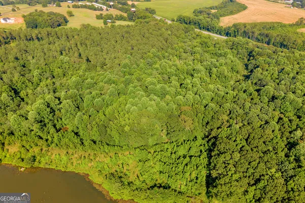 a view of a big yard with lots of bushes