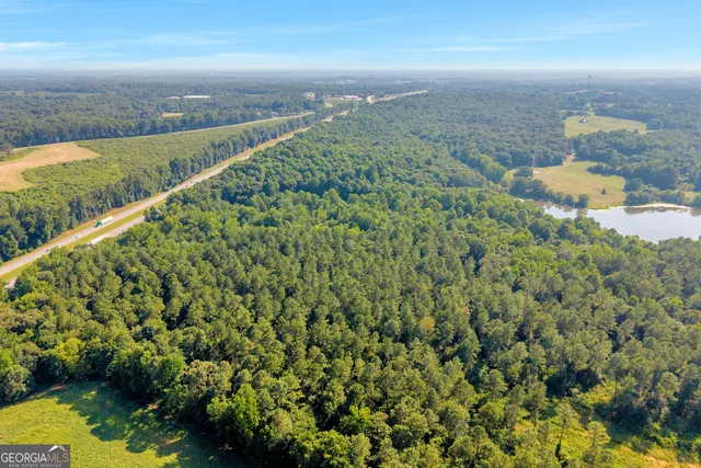 a view of a city from a yard