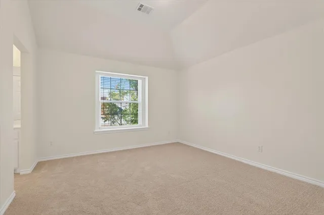 a view of a large garden with plants and large tree