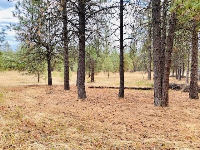 Xx North Perry Road Chattaroy, WA 99003 - Photo 6 of 10