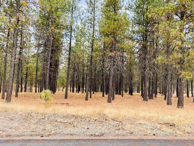 Xx North Perry Road Chattaroy, WA 99003 - Photo 7 of 10