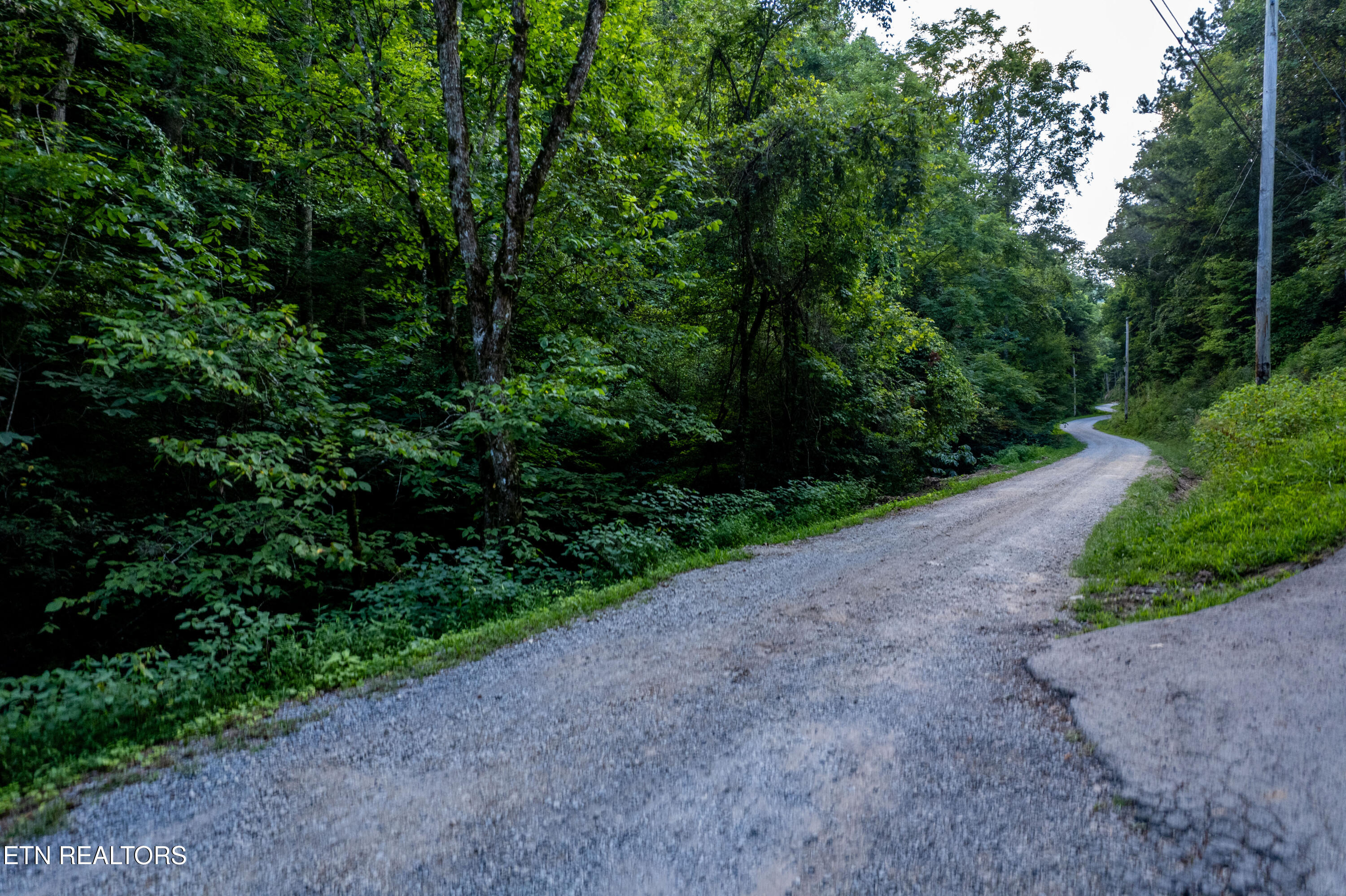 Hidden Hollow Way Sevierville, TN 37862 - Photo 1 of 14 Lot 15/16 Hidden Hollow Way