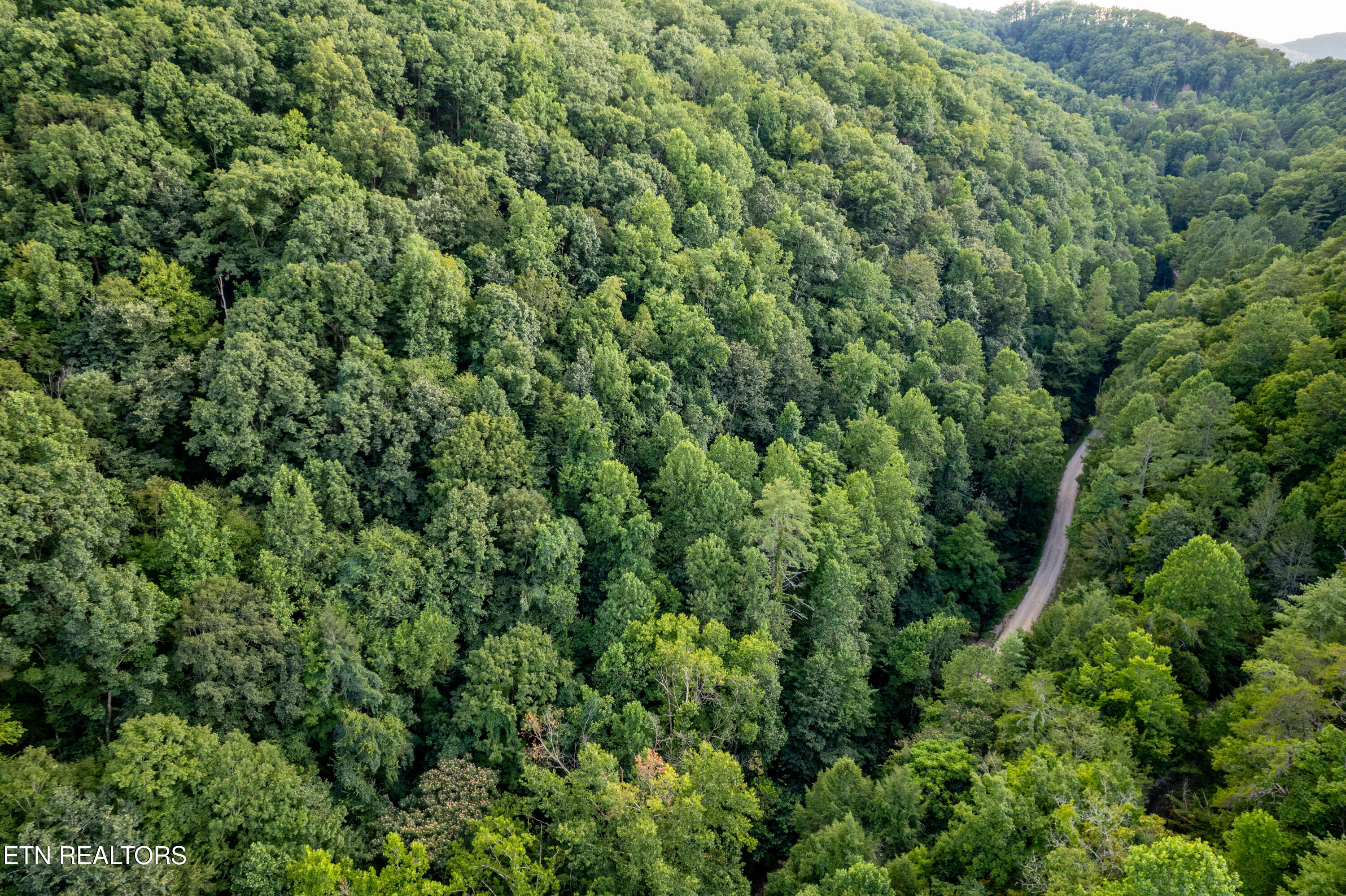 Hidden Hollow Way Sevierville, TN 37862 - Photo 11 of 14 Drone of the area
