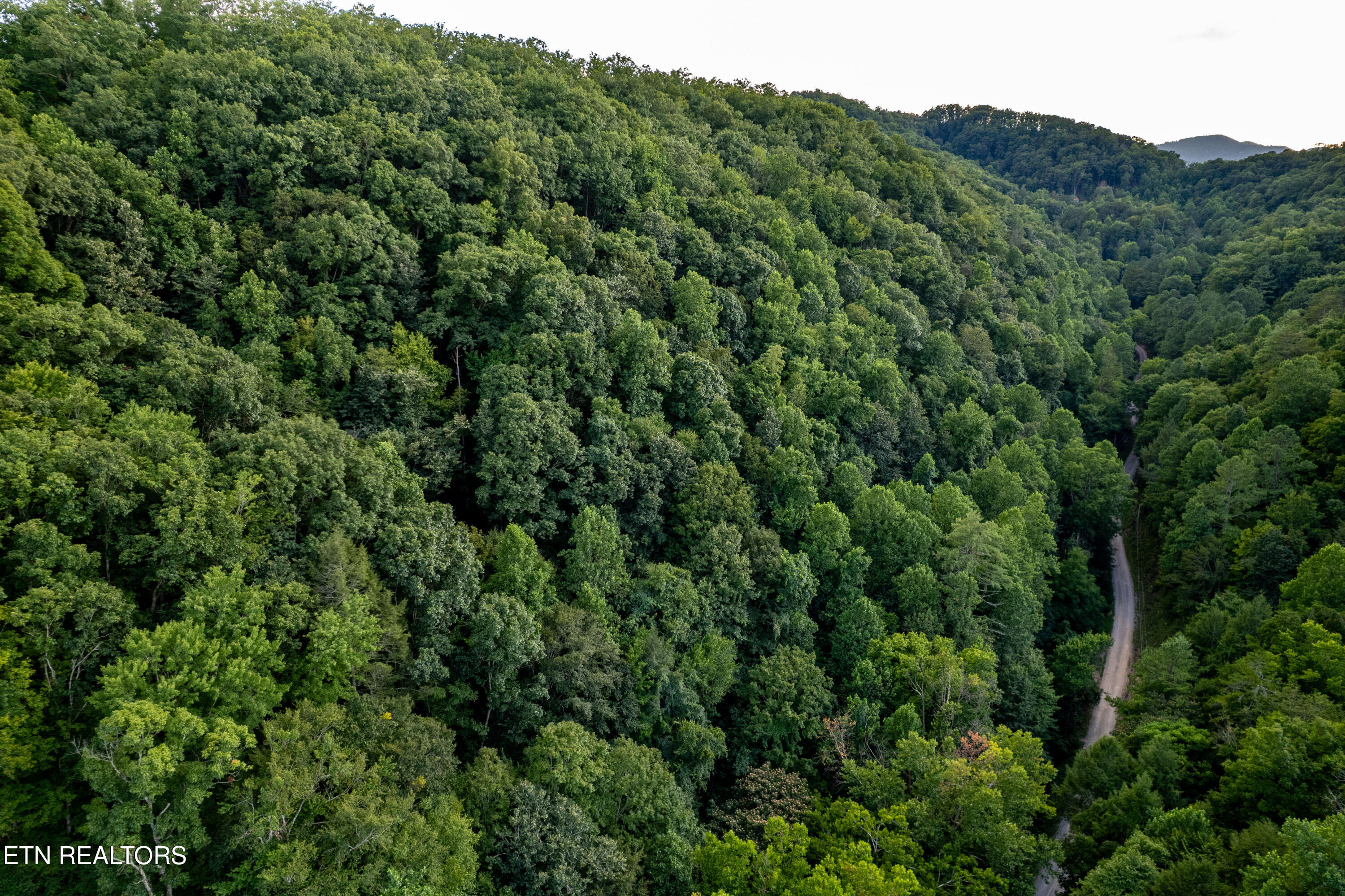 Hidden Hollow Way Sevierville, TN 37862 - Photo 12 of 14 Not far from the Great Smoky Mts