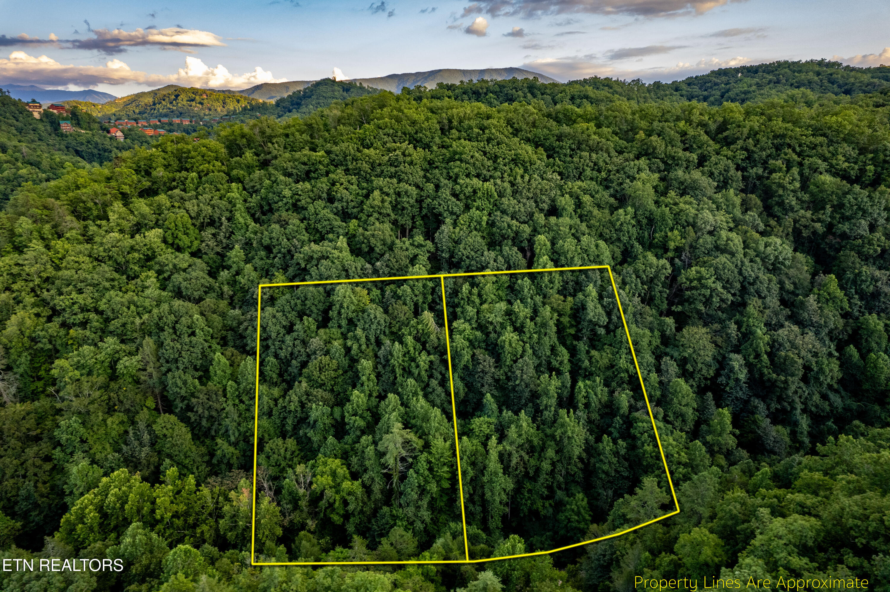 Hidden Hollow Way Sevierville, TN 37862 - Photo 4 of 14 2 parcels