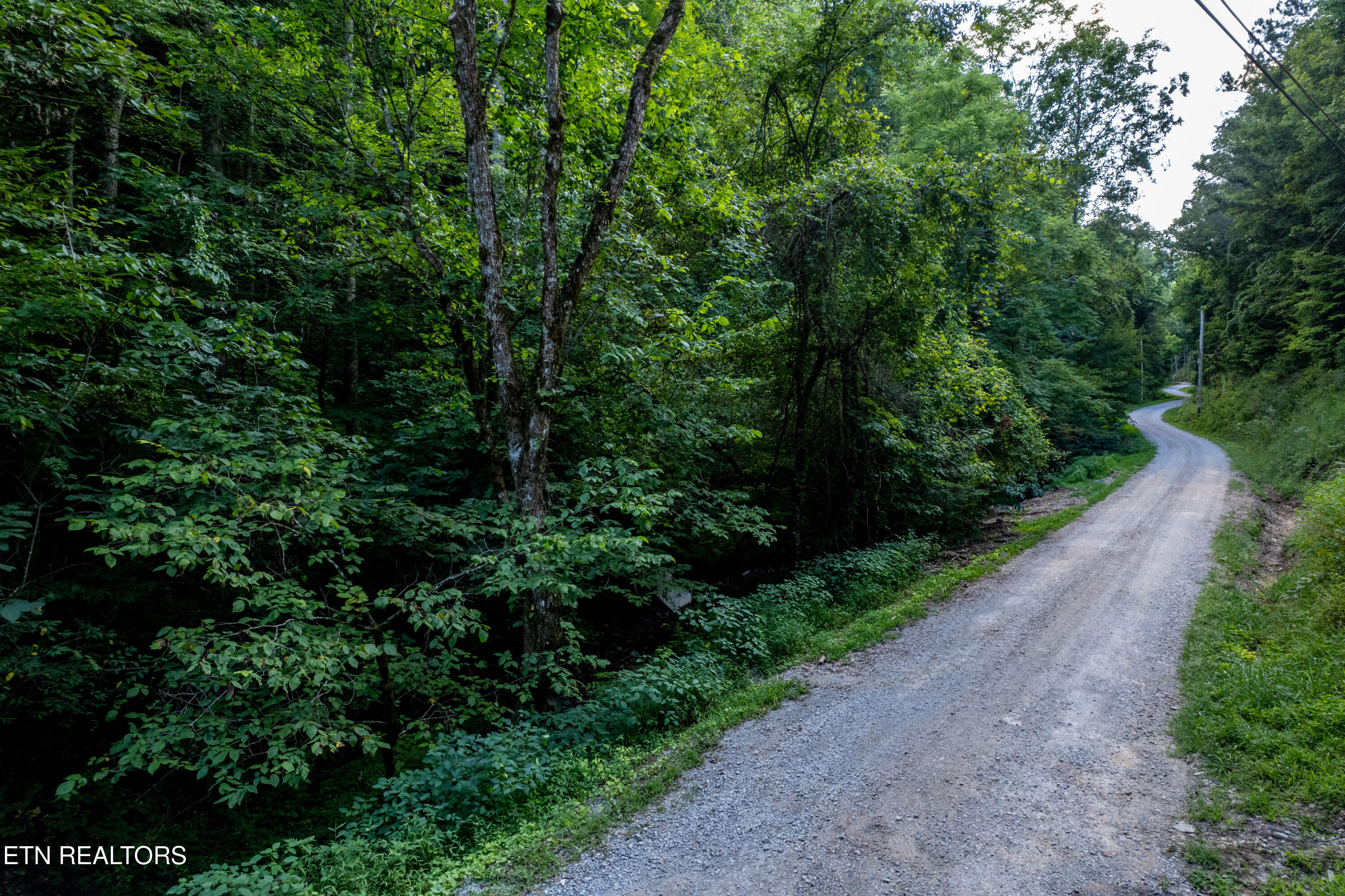 Hidden Hollow Way Sevierville, TN 37862 - Photo 6 of 14 Gravel road to the lot