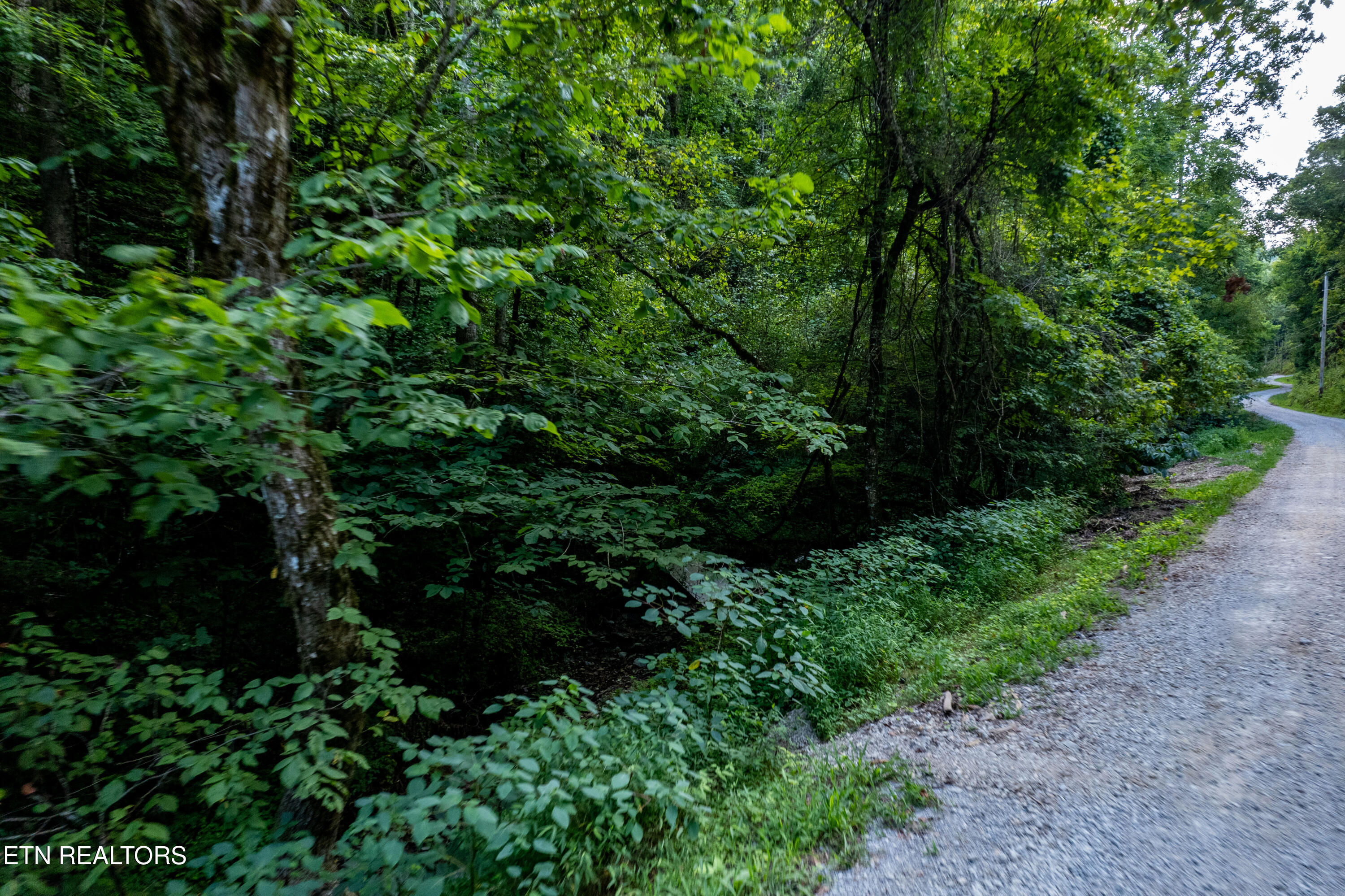 Hidden Hollow Way Sevierville, TN 37862 - Photo 7 of 14 Gravel Road