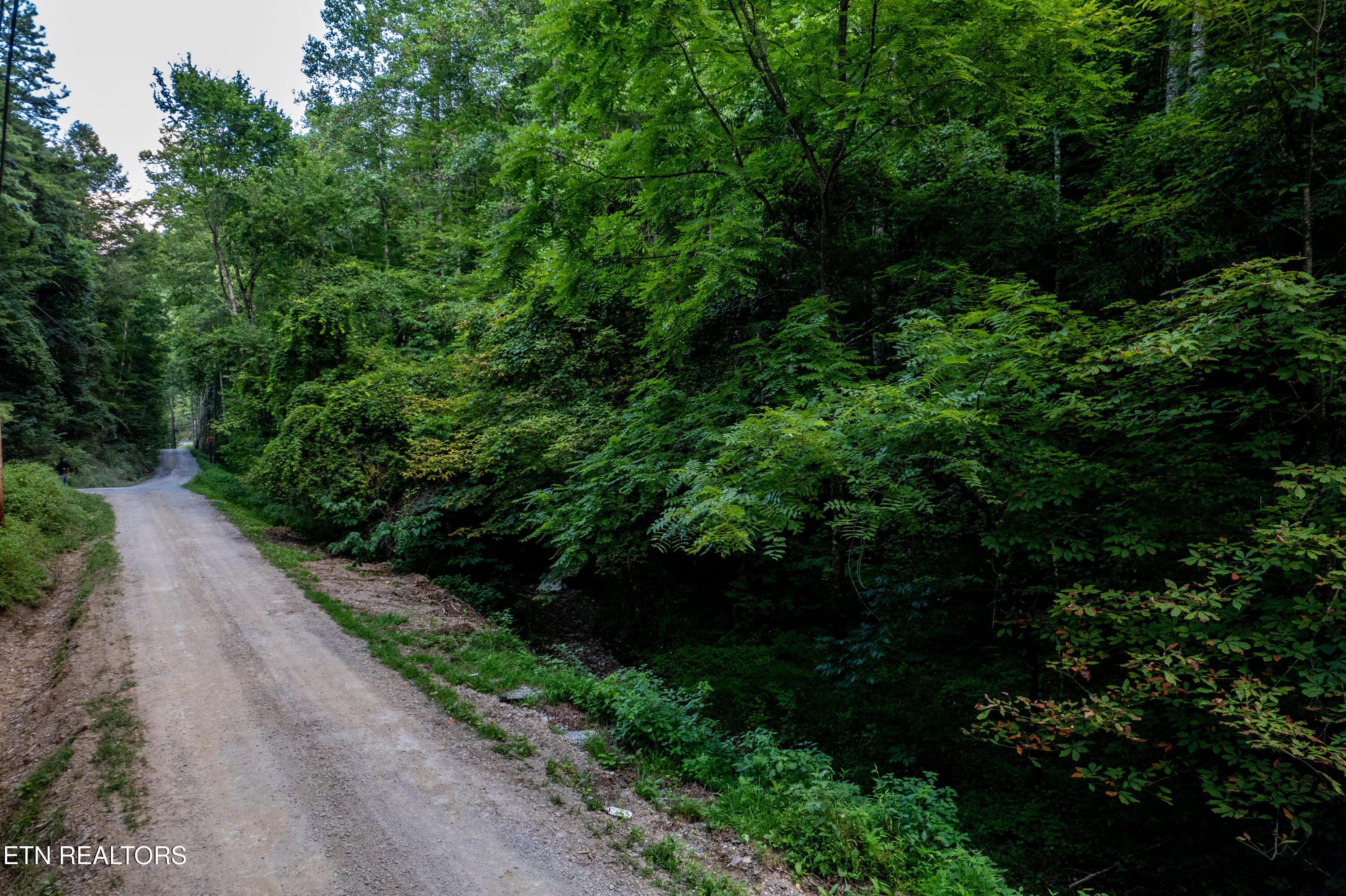 Hidden Hollow Way Sevierville, TN 37862 - Photo 9 of 14 Lot 15 and 16