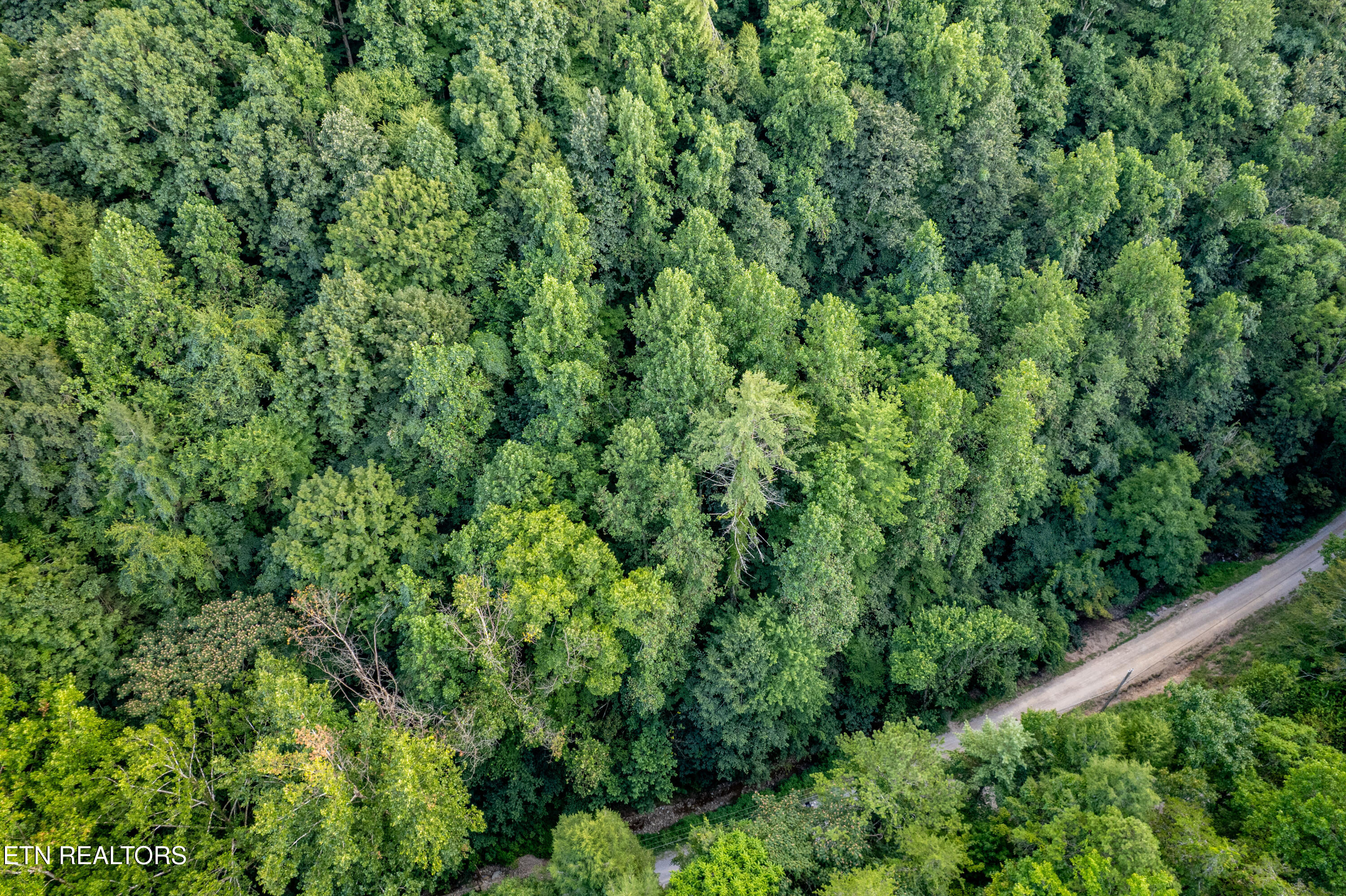 Hidden Hollow Way Sevierville, TN 37862 - Photo 10 of 14 Drone of the area