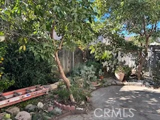 a view of an outdoor space with yard