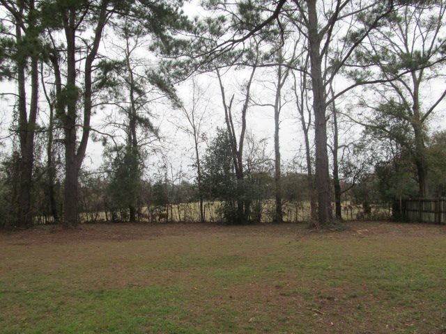 1799 Rodeo Drive Tallahassee, FL 32311 - Photo 4 of 19 Gallery Image 4