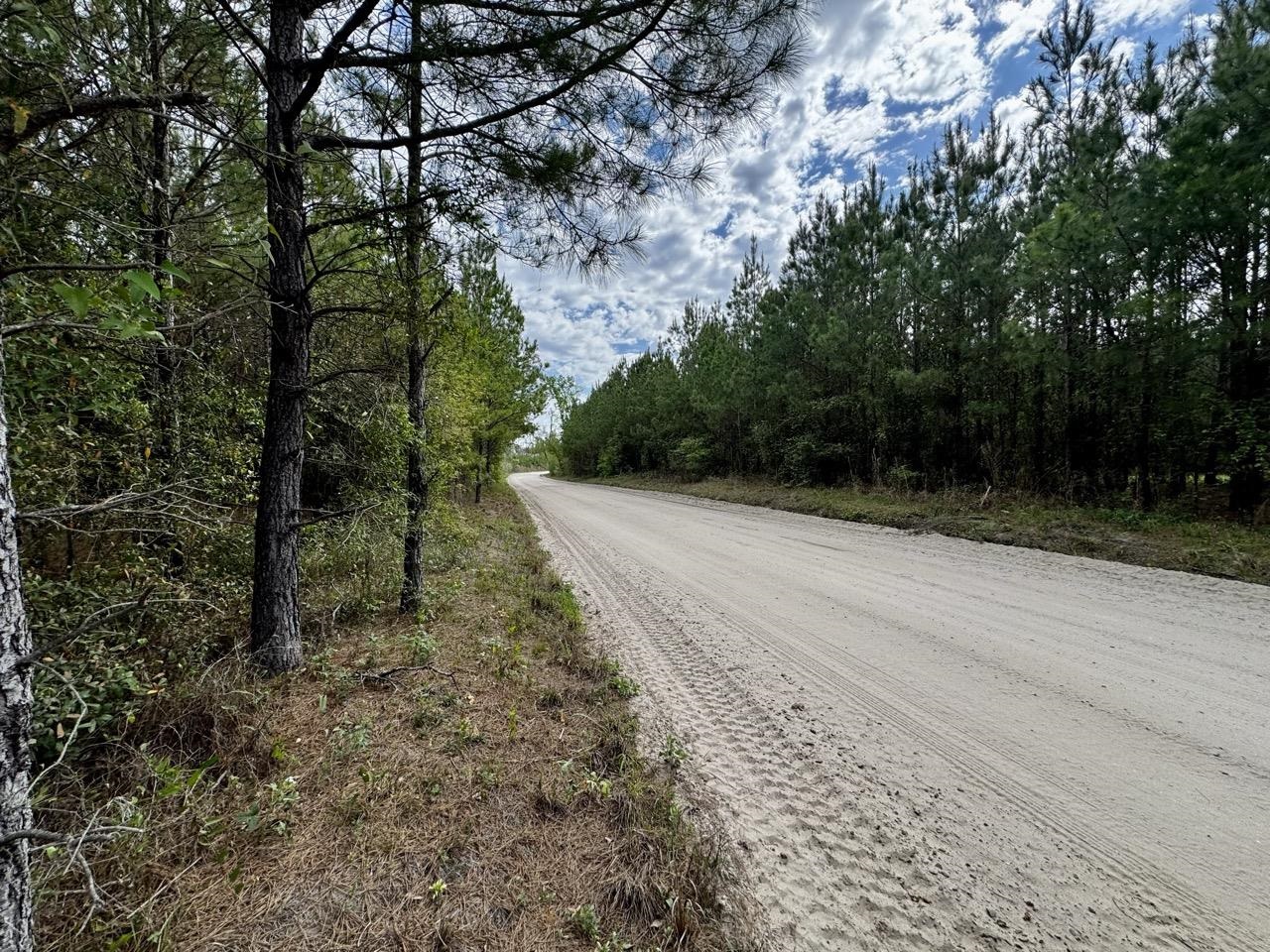 Vacant Southwest Vacant Sw Captain Brown Road Madison, FL 32340 - Photo 5 of 37