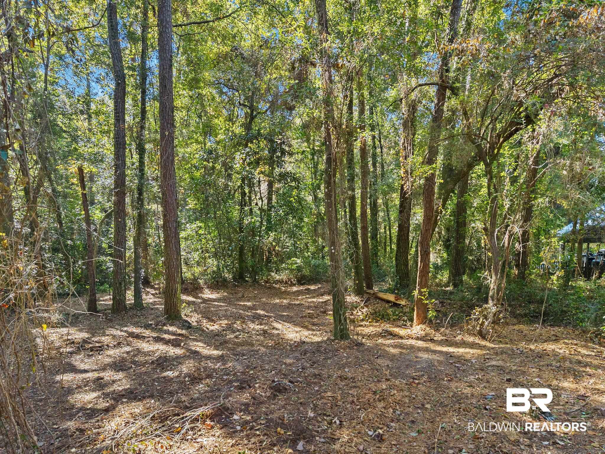 0 Wharf Street Daphne, AL 36526 - Photo 8 of 21