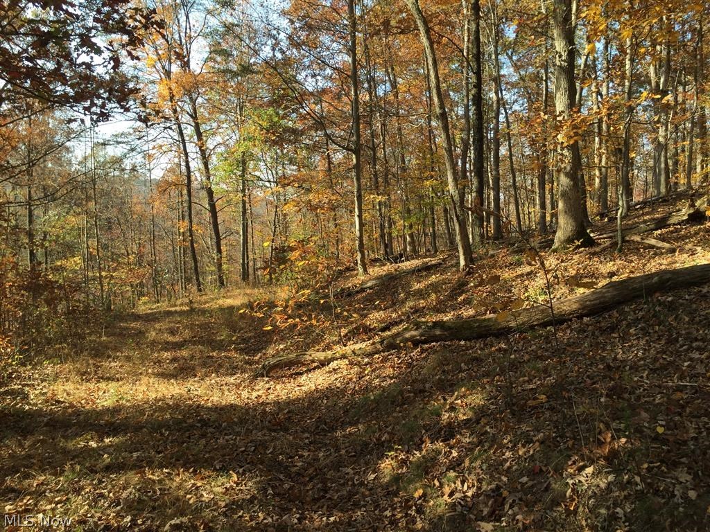 Long Run Cairo, WV 26337 - Photo 4 of 7 Gallery Image 4