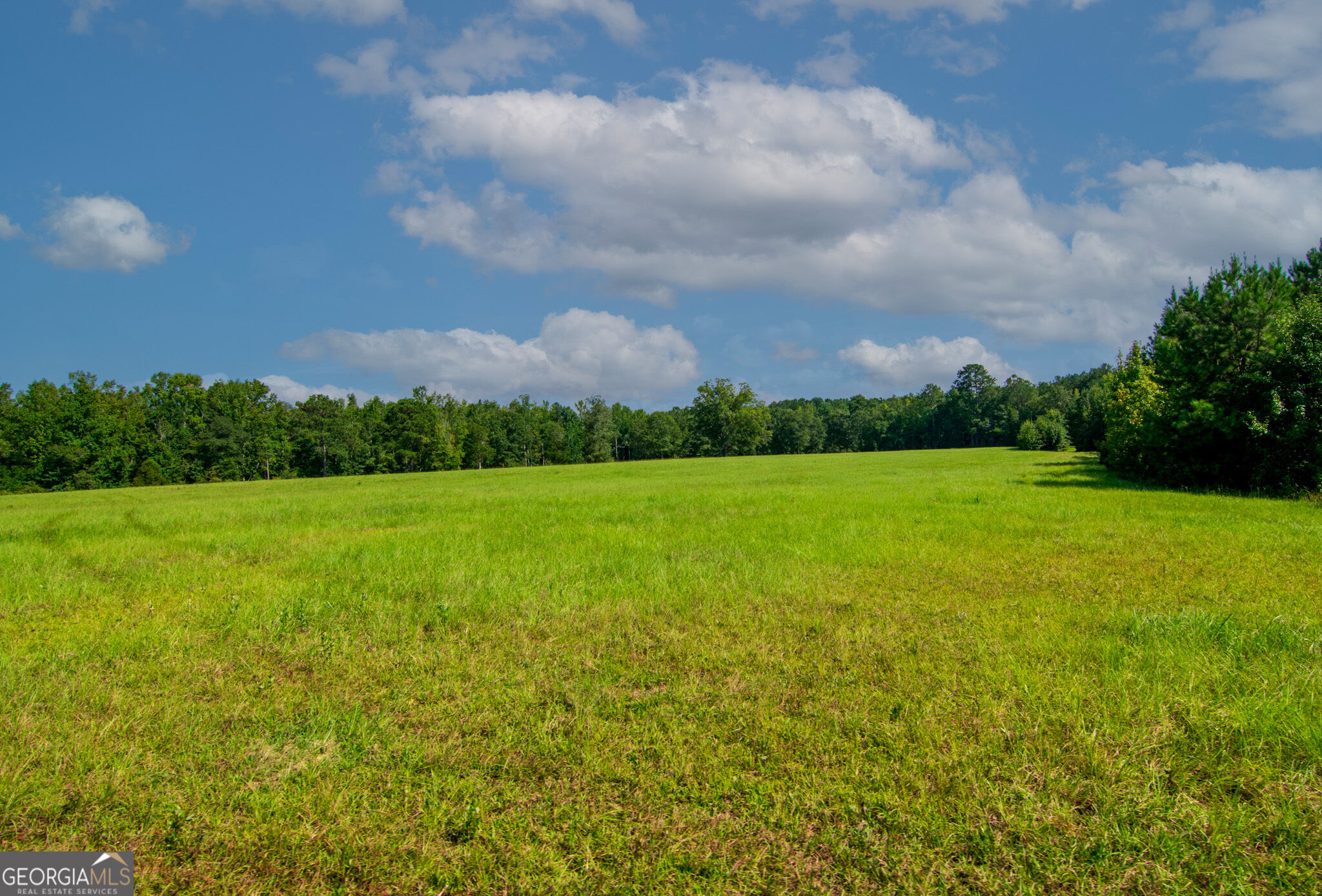 616 Twin Lakes Road Waverly Hall, GA 31831 - Photo 38 of 98 Gallery Image 38