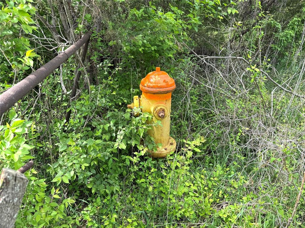 19231 St Albans Road Wildwood, MO 63038 - Photo 4 of 10